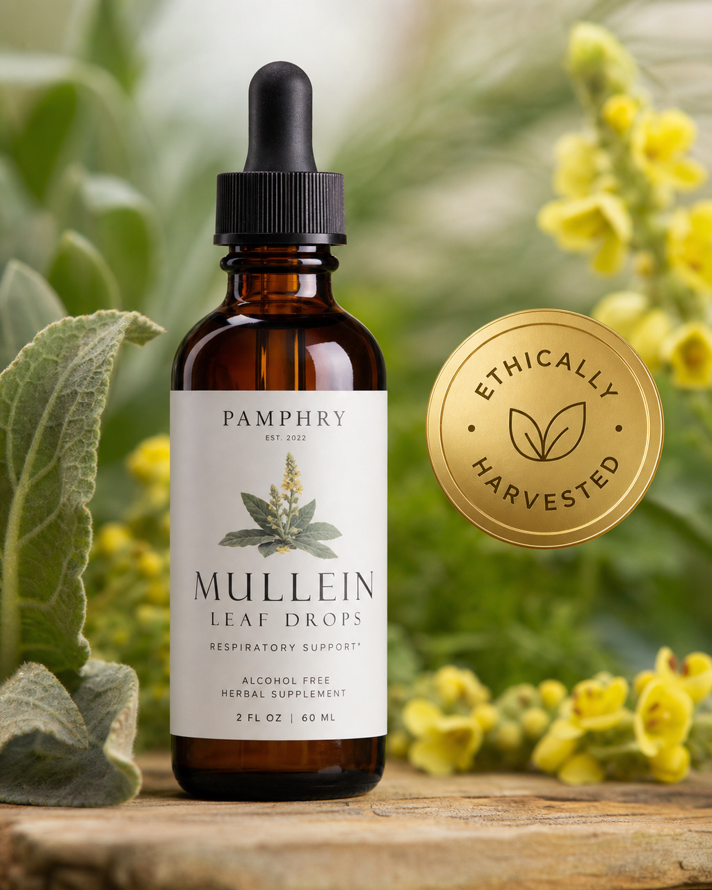 Mullein Leaf Liquid Drops